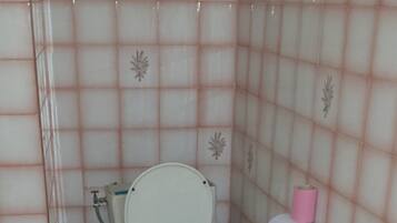 Un baño con inodoro, ducha y lavabo.