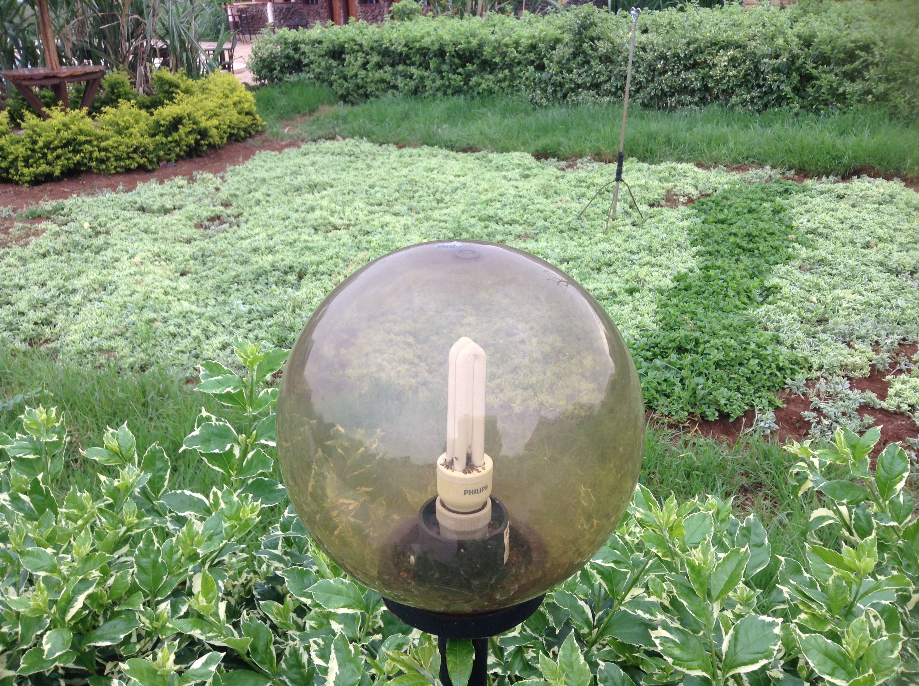 A garden with a spherical object on a stand, surrounded by green foliage.
