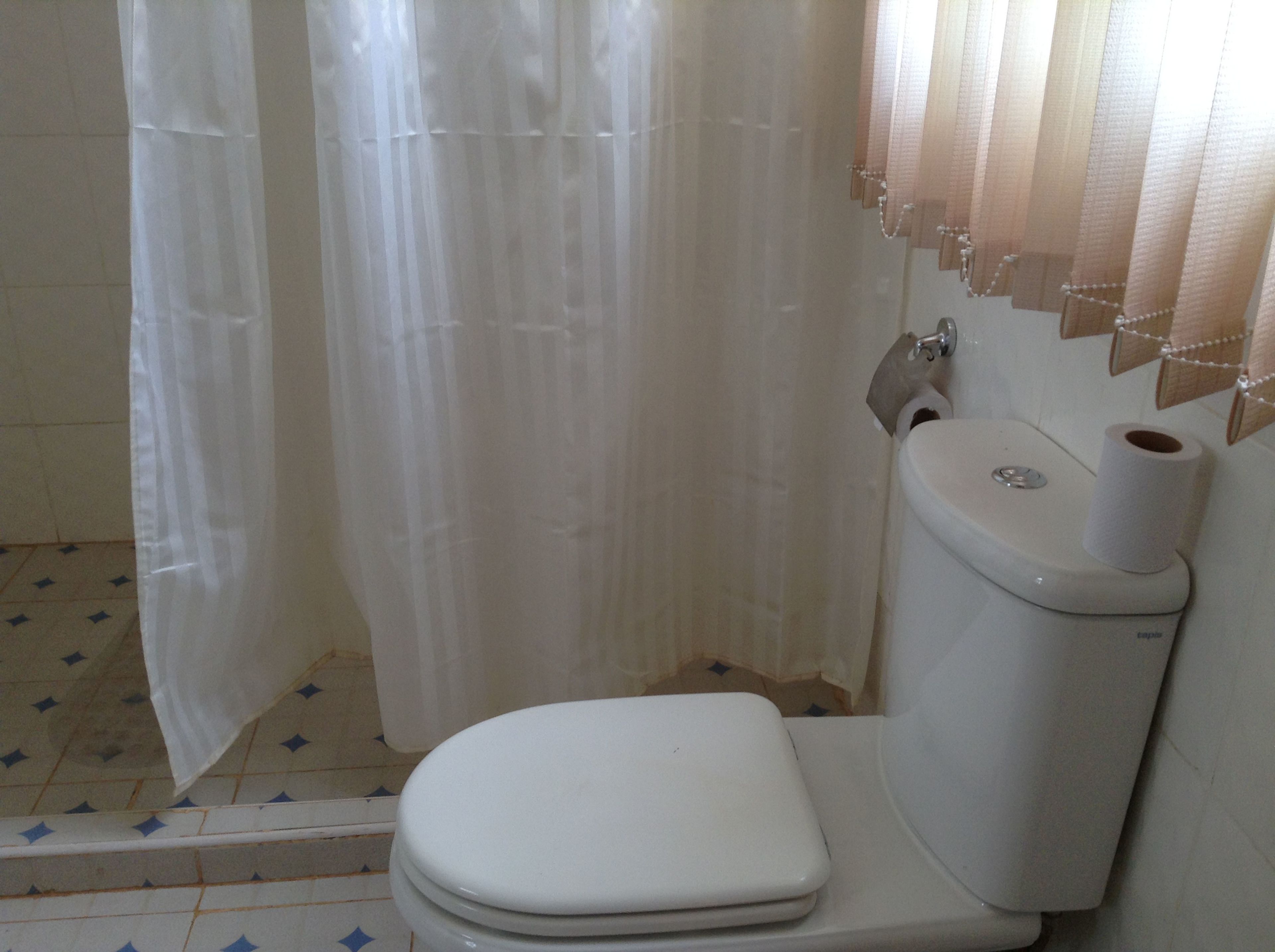 Ein Badezimmer mit Toilette, Duschvorhang und Toilettenpapierhalter.