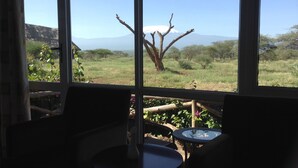 Una habitación con un amplio ventanal que ofrece vistas a una montaña y un árbol.