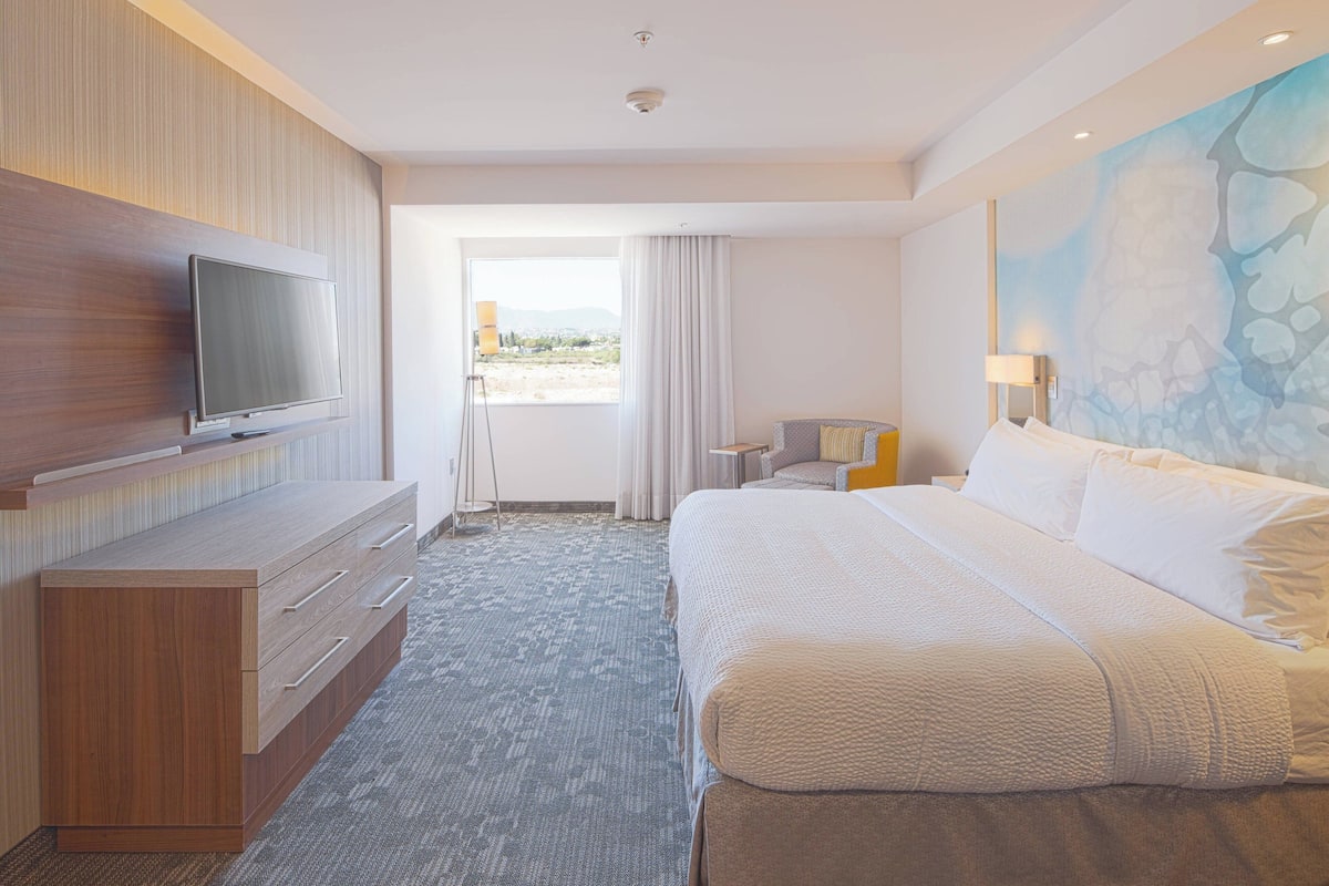 Suite, 1 King Bed with Sofa bed | Minibar, desk, iron/ironing board, free WiFi