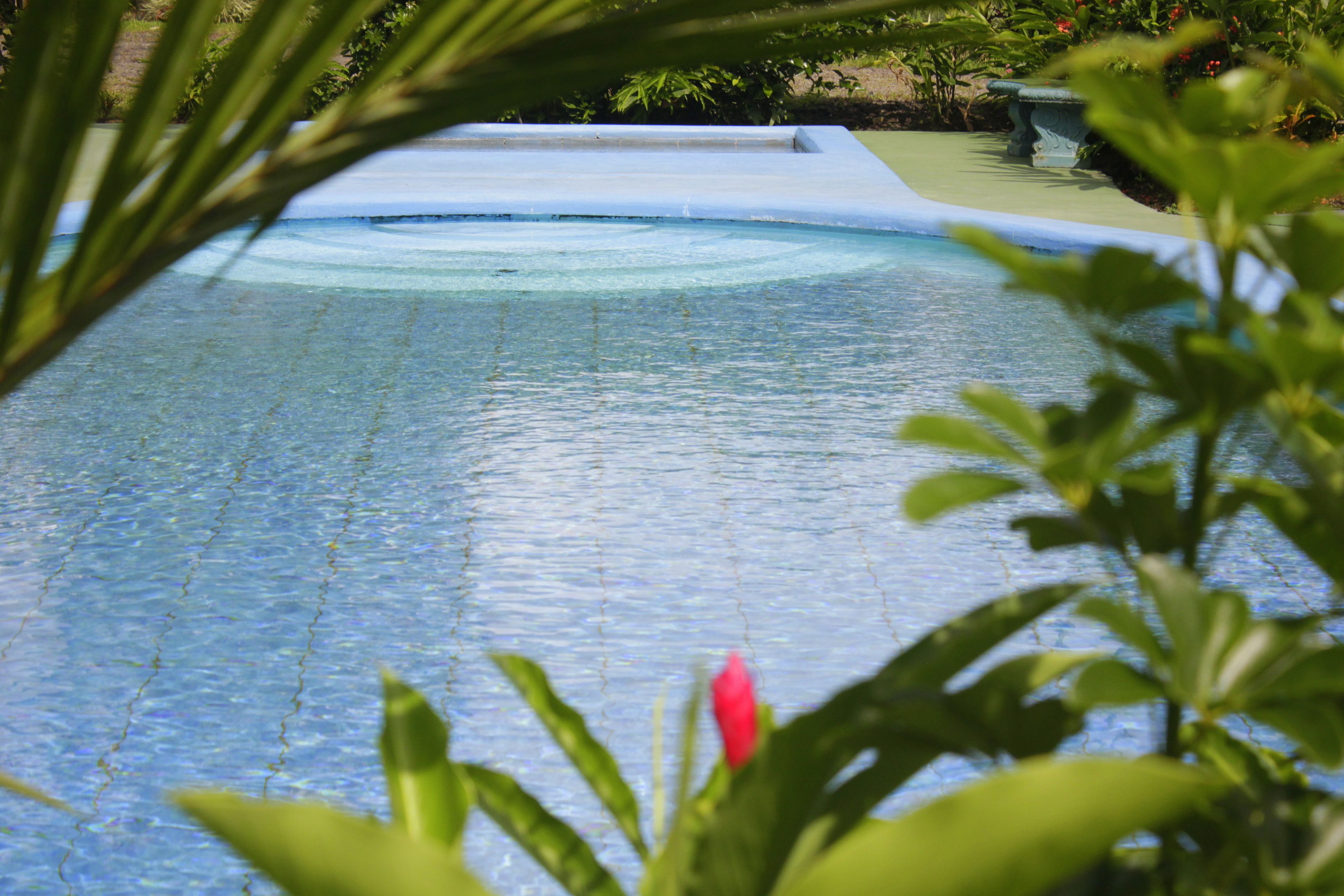 A clear view of a swimming pool with a stone edge and a small waterfall feature.