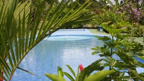 Una piscina rodeada de exuberante vegetación y plantas florecientes.