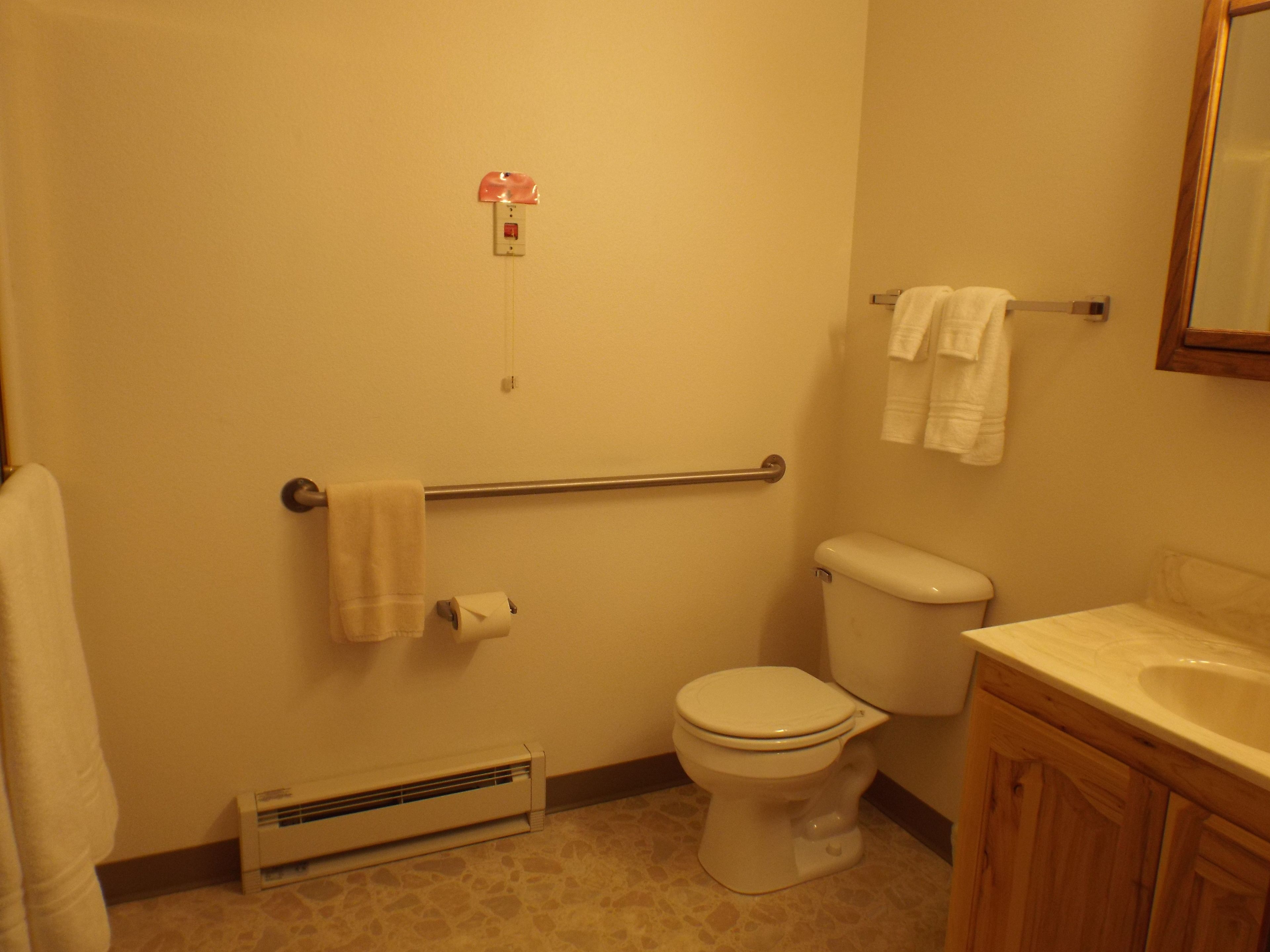 deluxe studio, non smoking, mountain view | bathroom | shower, free toiletries, hair dryer, towels