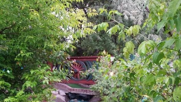 Un arroyo con rocas, rodeado de vegetación y un puente rojo.