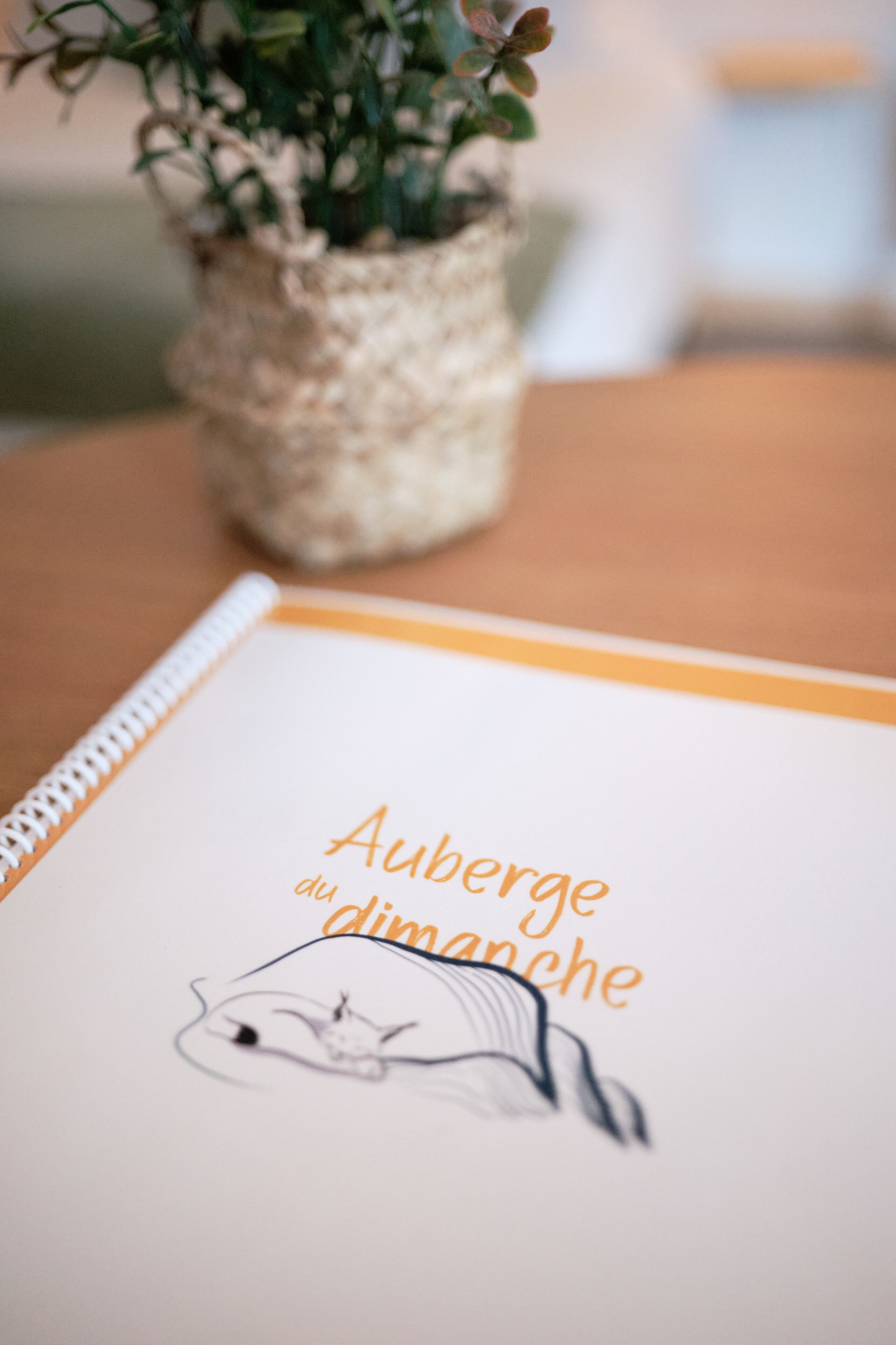 full-sized fridge, microwave, oven, stovetop