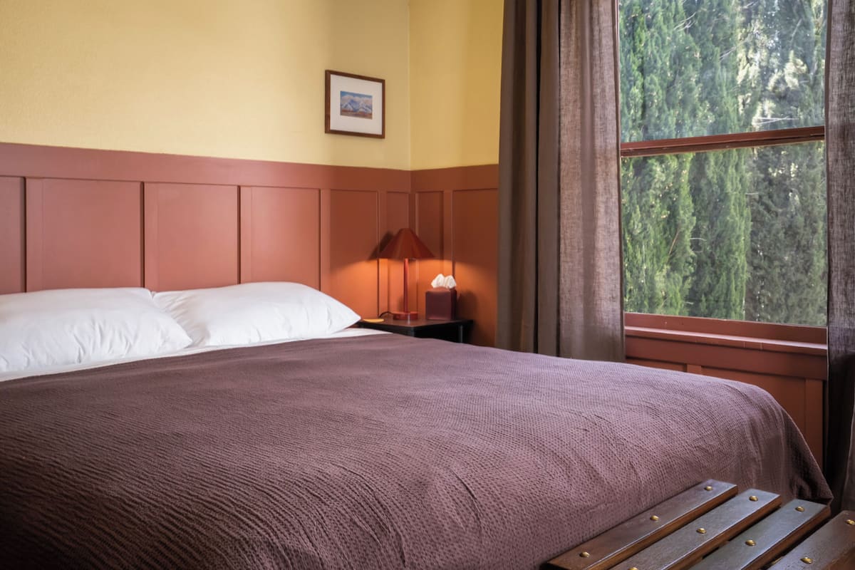 A bed with white pillows, a brown headboard, a bedside table with a lamp, and a window with a forest view.