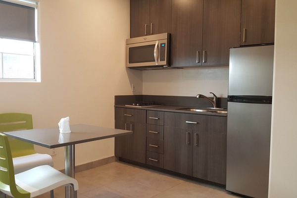Deluxe Room, 1 Queen Bed, Kitchenette | Private kitchen | Fridge, microwave