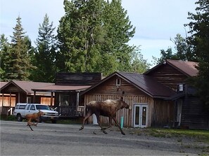 A rustic cabin with a porch and a vehicle parked in front. - All Seasons Campground & Cabins (Ninilchik)