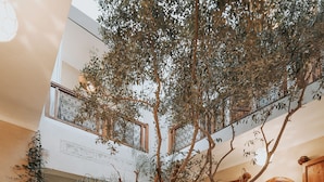 A spacious courtyard with a central tree, wooden furniture, and a small pool. - Dar Nour El Houda (Marrakech)
