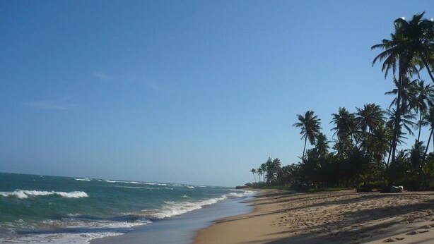 A beach with a sandy shore, palm trees, and the ocean. - Pousada Montreux (Mata de São João)