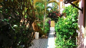 A narrow garden pathway with a wooden gate, surrounded by lush greenery and potted plants. - Pousada Montreux (Mata de São João)