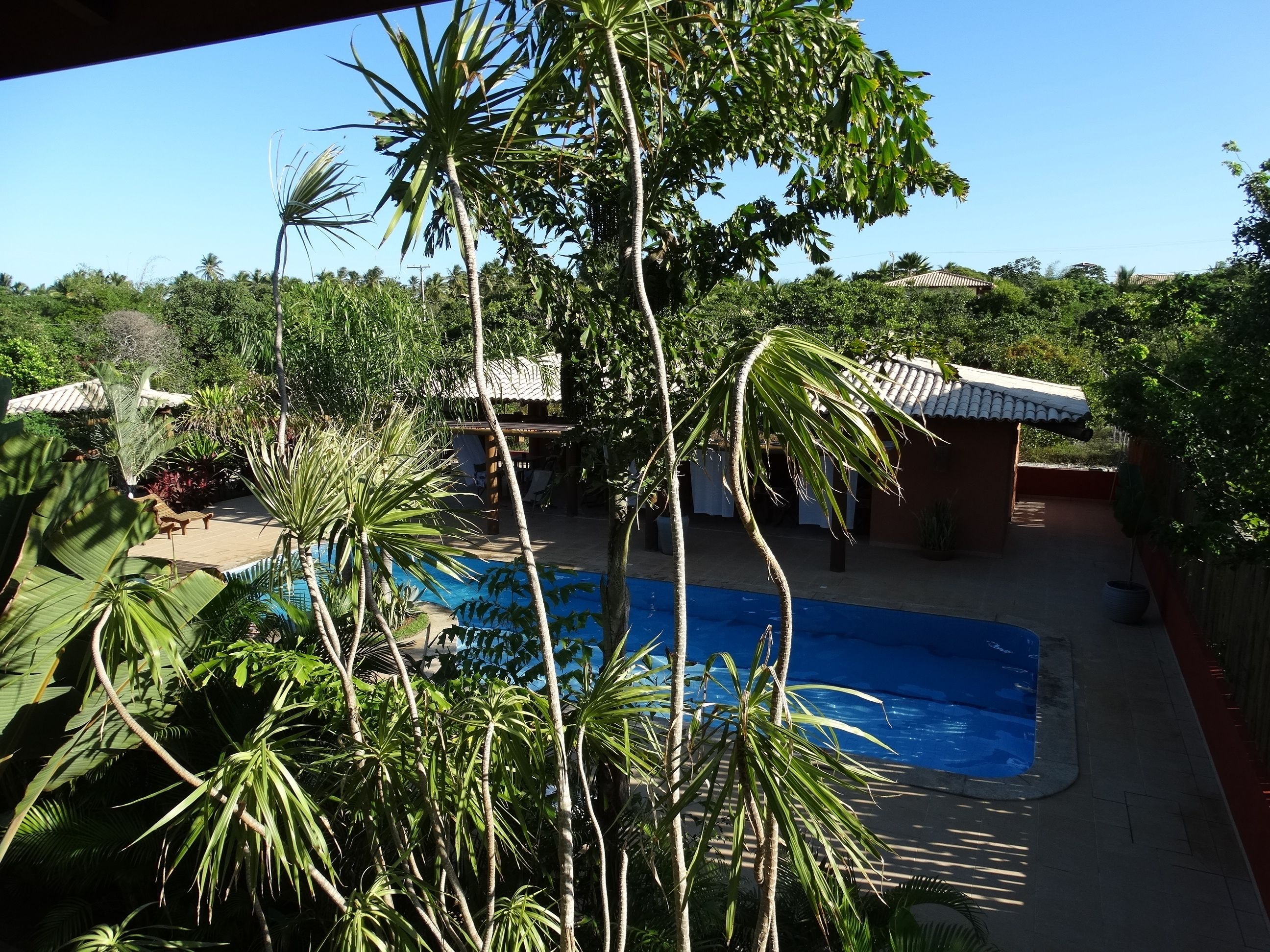 A swimming pool surrounded by lush greenery and a small building with a tiled roof.