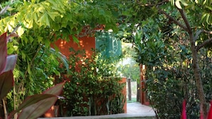 Un sendero atraviesa un jardín con diversas plantas y un edificio al fondo.