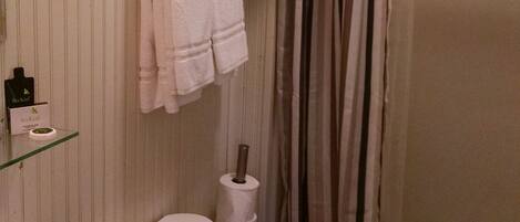 A bathroom with a toilet, sink, and shower.