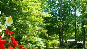 A garden with a variety of plants and trees, a pathway, and a small structure in the background. - The Saugatuck Retro Resort Motel (Saugatuck)