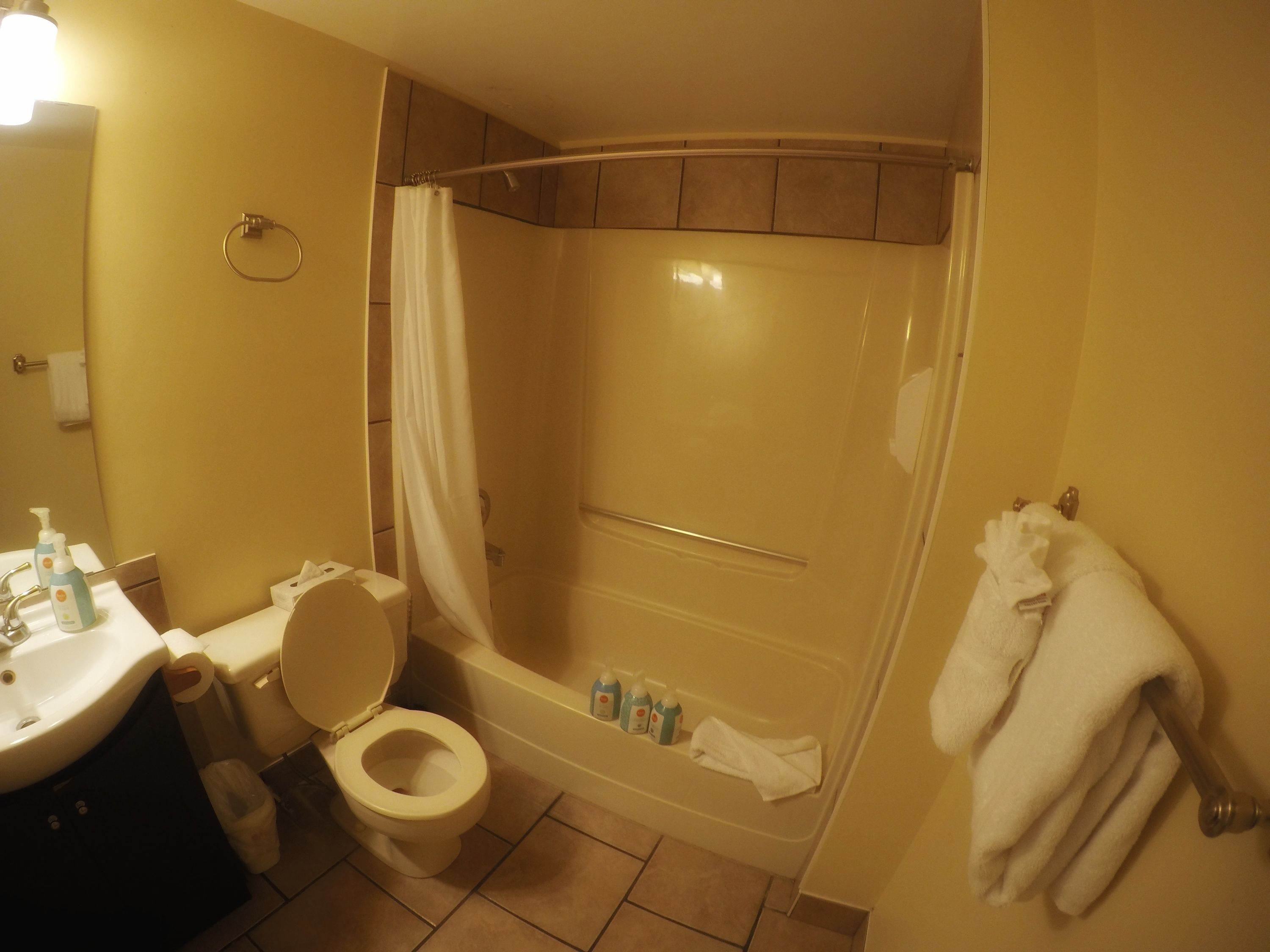 A bathroom with a toilet, sink, and shower area.