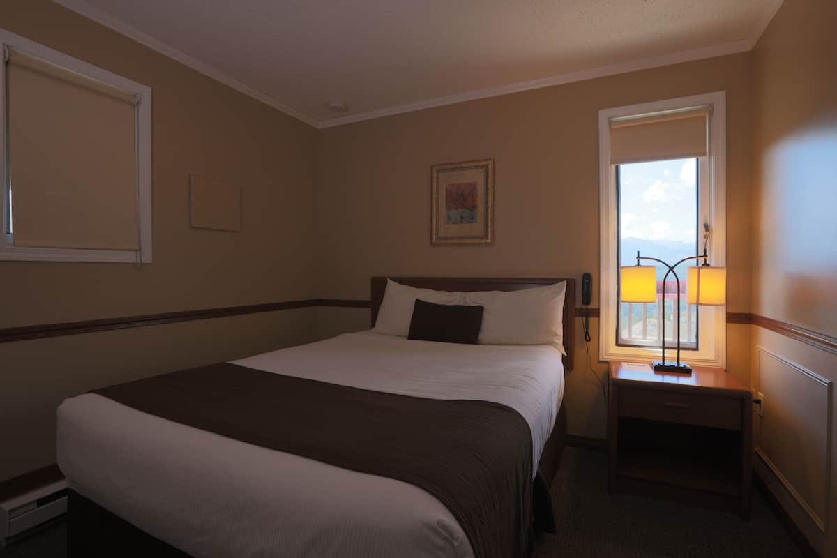 Habitación de hotel con una cama grande, una mesita de noche con lámpara, una ventana con vistas y un cuadro en la pared.