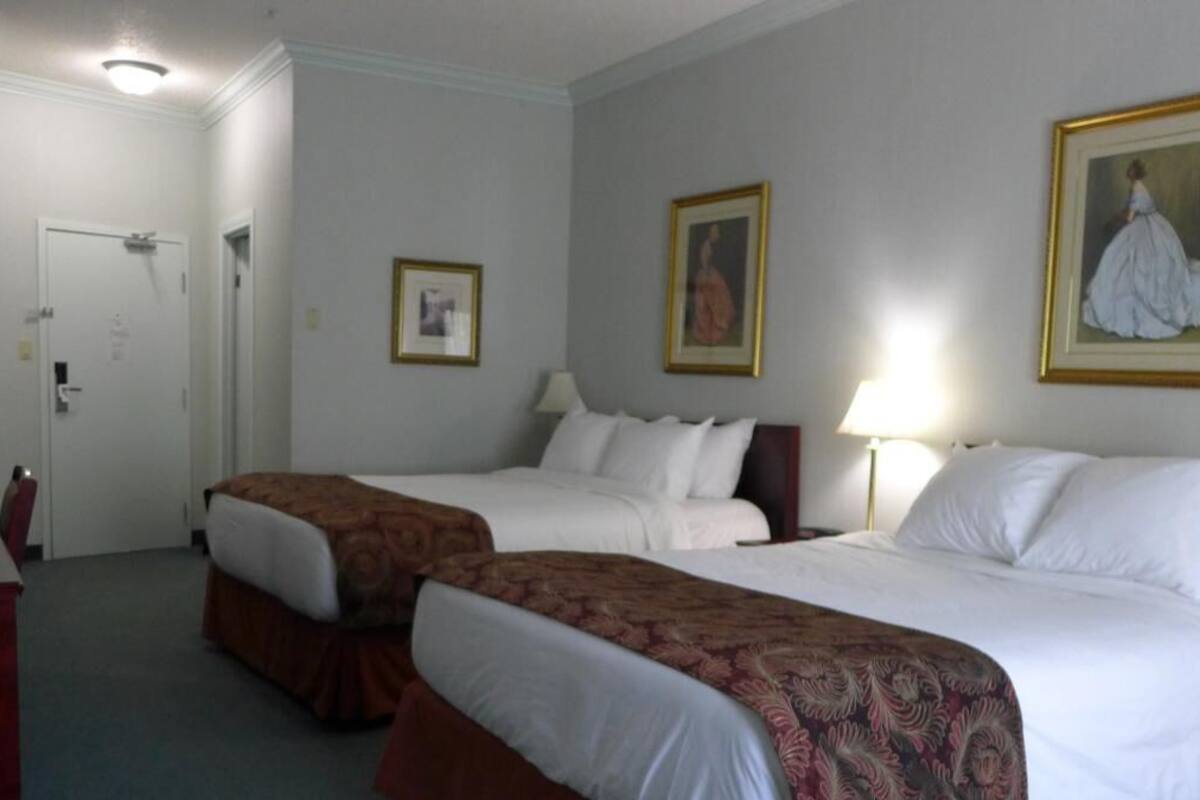 premium bedding, desk, laptop workspace, blackout curtains