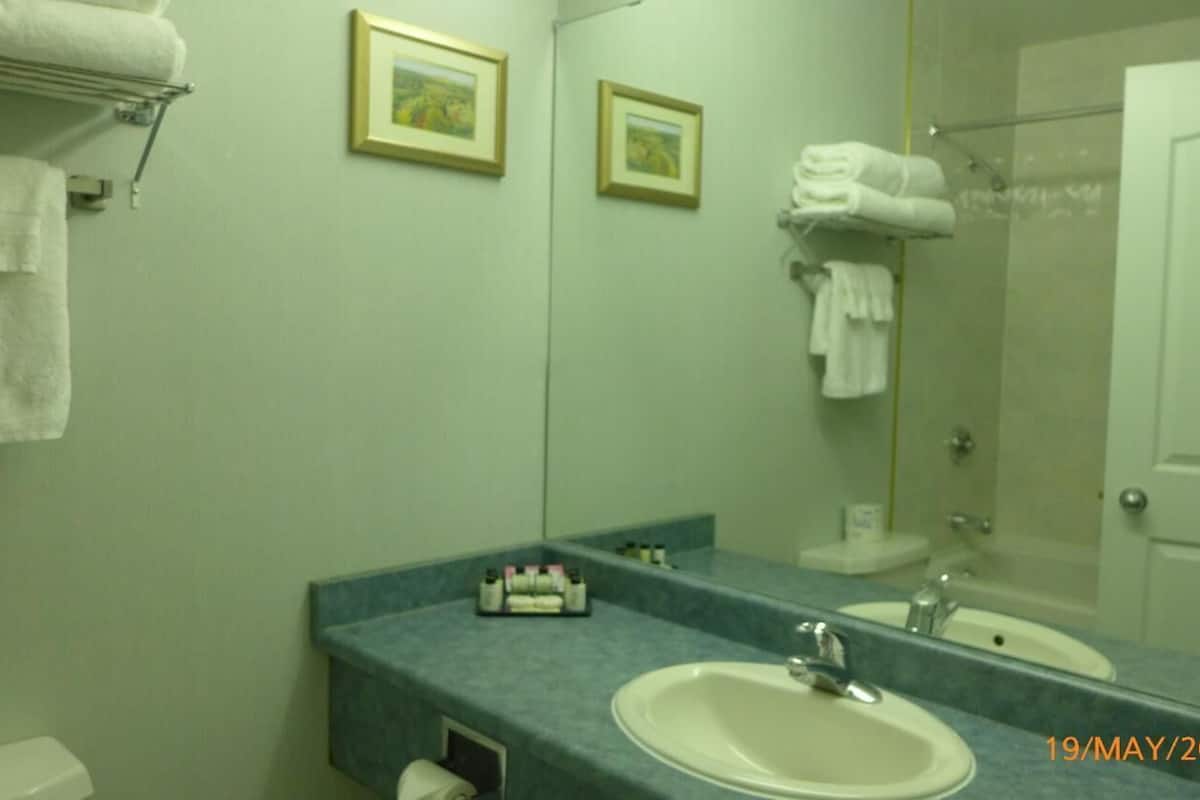 free toiletries, hair dryer, towels