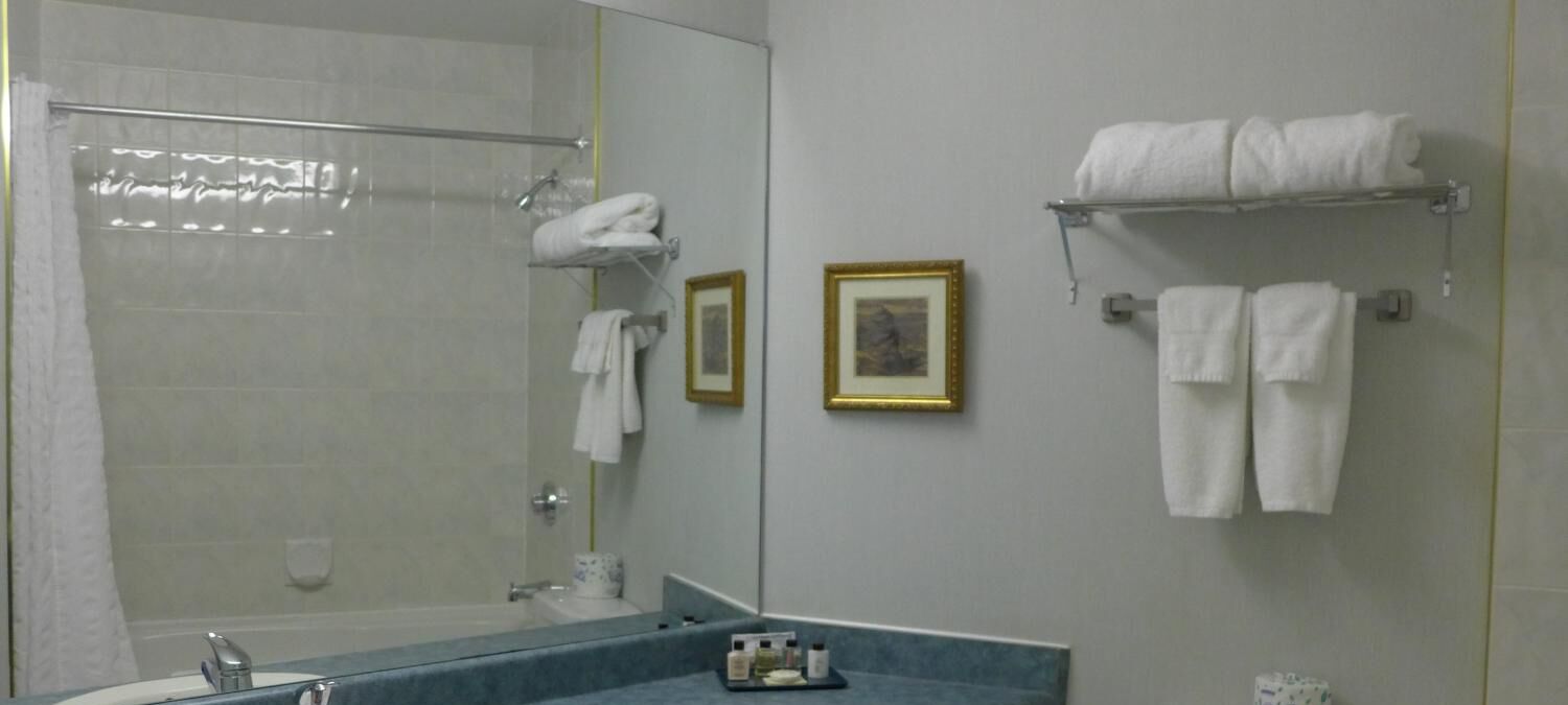 free toiletries, hair dryer, towels