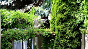 A brick pathway leading through a lush garden with various plants and a pergola covered in greenery. - A Vista Villa Couples Retreat (Kelowna)