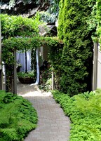 Outdoor wedding area