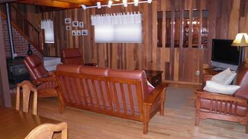 Televisión, chimenea, reproductor de DVD