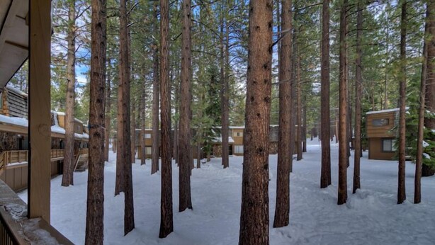 A snowy forest with tall trees and cabins. - 1200 Wildwood Unit 16 (South Lake Tahoe)
