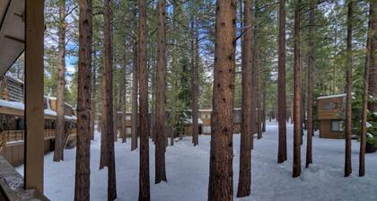 1200 Wildwood Unit 16