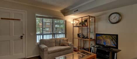 TV, fireplace, DVD player