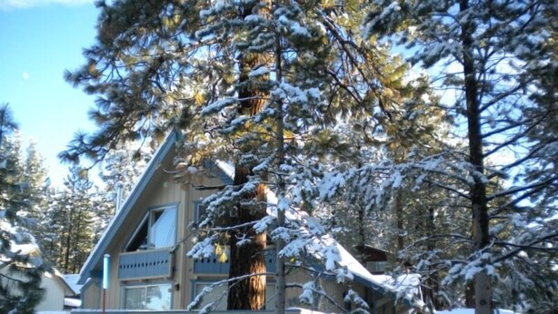 A cabin with a deck, surrounded by snow-covered trees. - 1470 Murietta Drive (South Lake Tahoe)