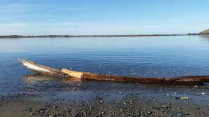A log on a pebbly beach with calm water and a distant shoreline. - Arky's B&B (Smith River)