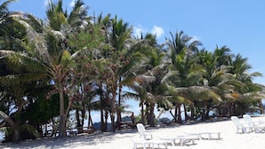 Una playa con sillas de plástico blancas y palmeras.
