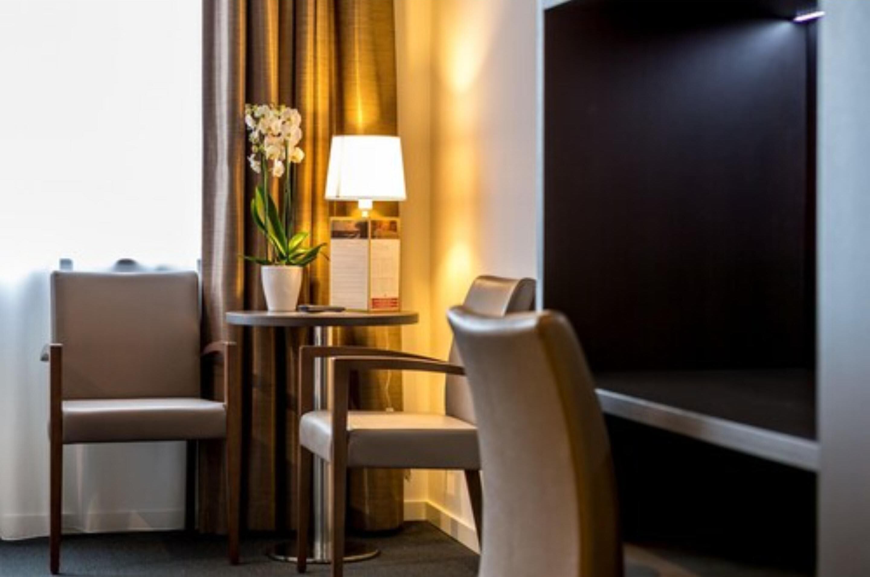A corner of a hotel room with a seating area, a lamp, and a potted plant.