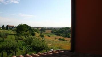 Suite estudio | Vista desde la habitación