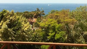 A coastal view with a wooden railing, dense greenery, and a distant ship on the ocean. - Villa La Vida- Self-Catering House (Umhlanga)