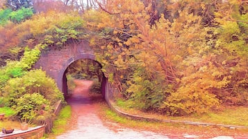 A stone bridge with an archway leading through a forested area.