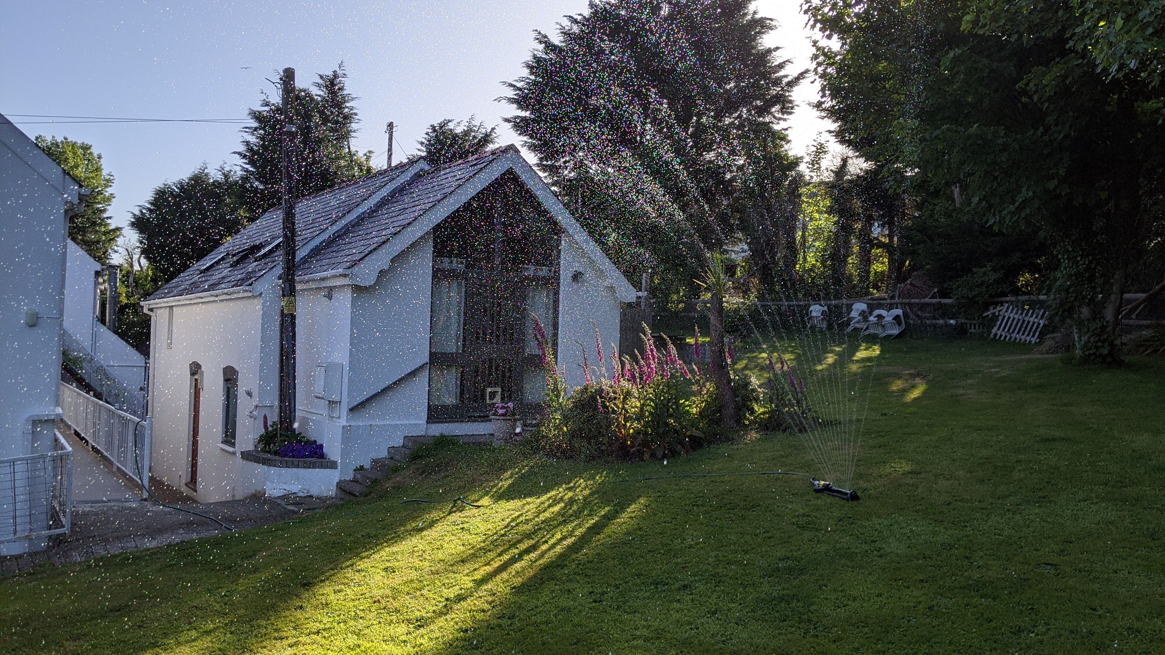Une petite maison blanche avec un toit en pente, entourée d’une pelouse bien entretenue et de plantes en fleurs.