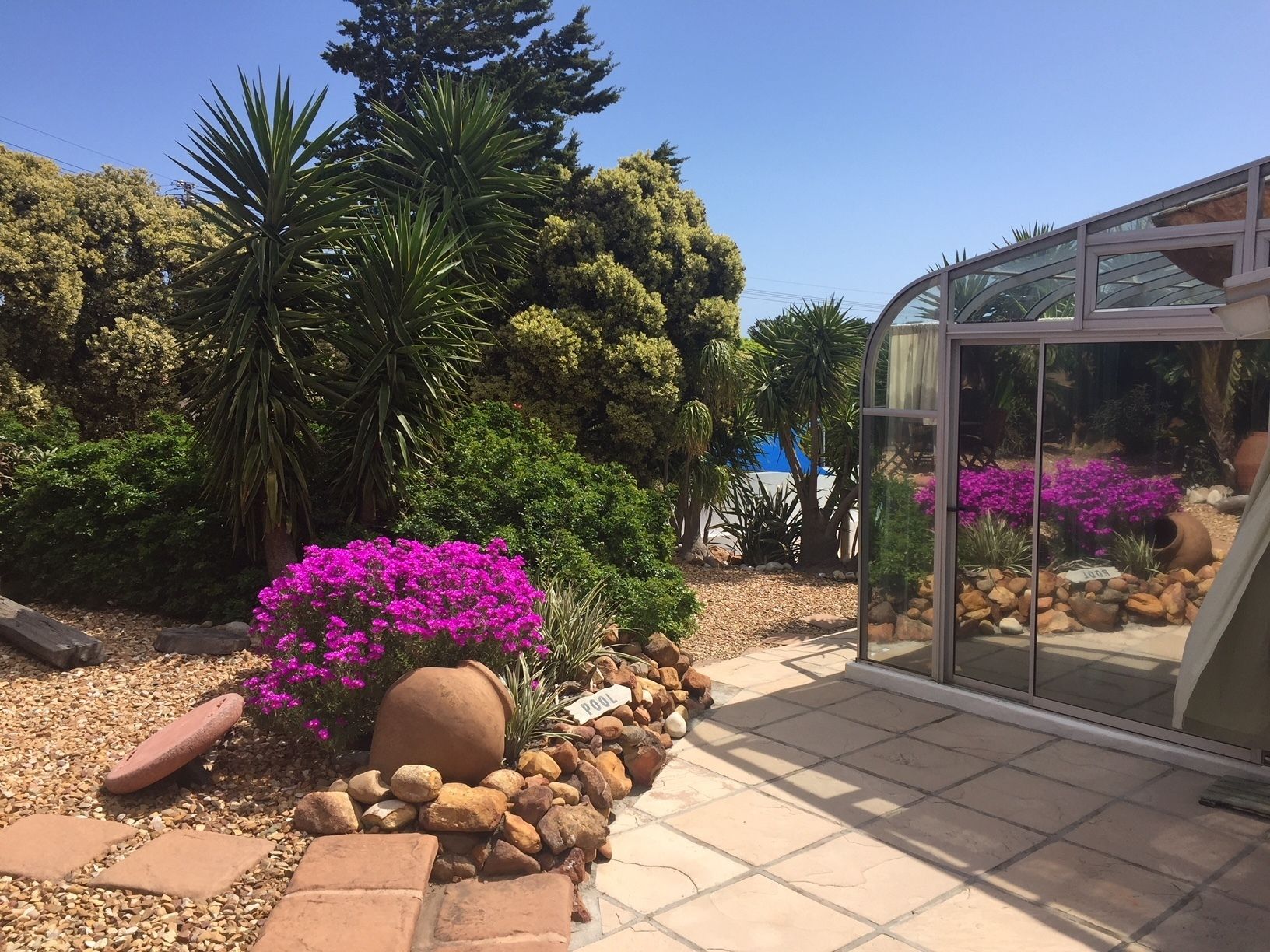 A garden with a pool area, surrounded by various plants and trees.