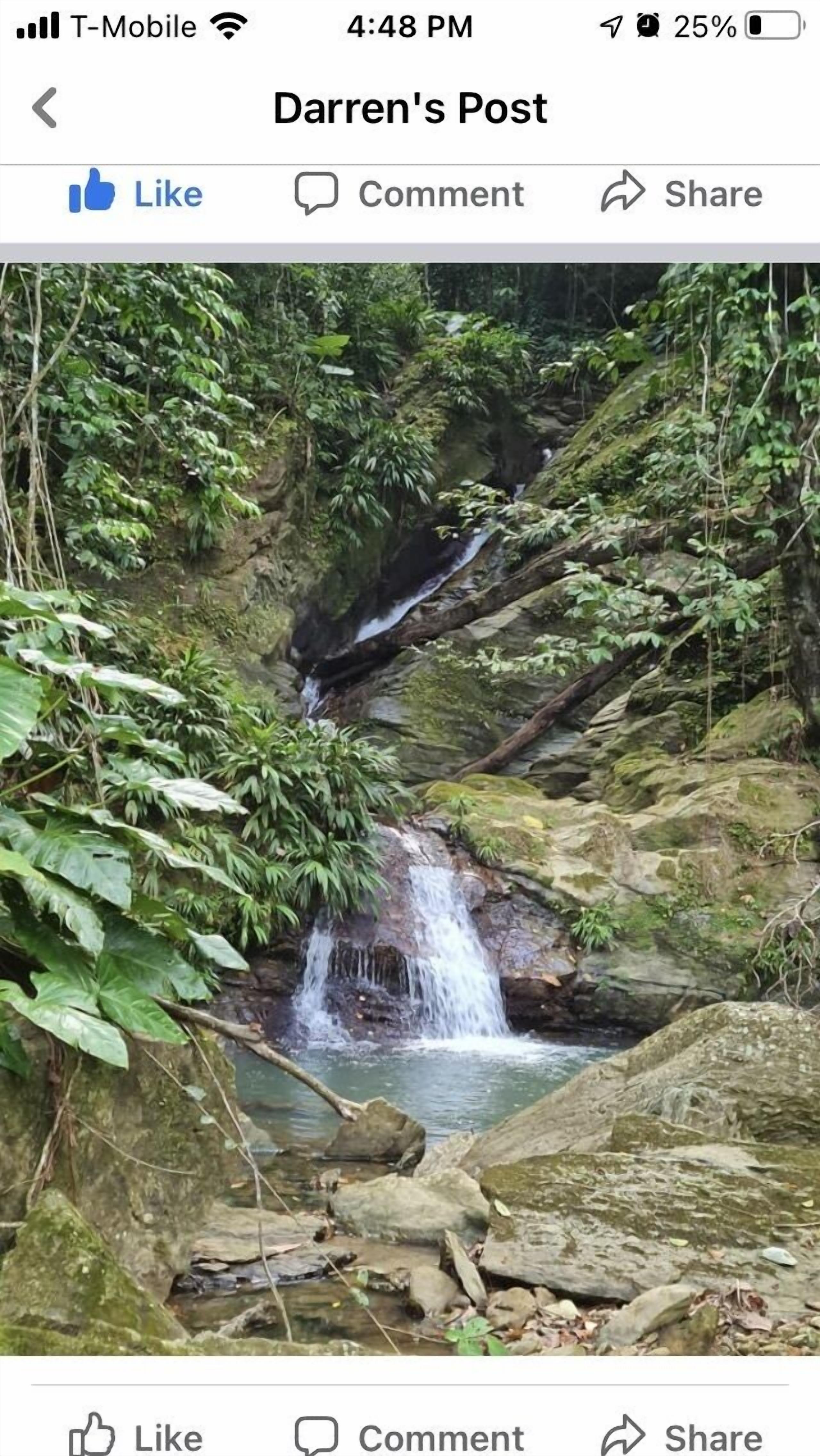 Une cascade au cœur d’une forêt luxuriante et verdoyante.