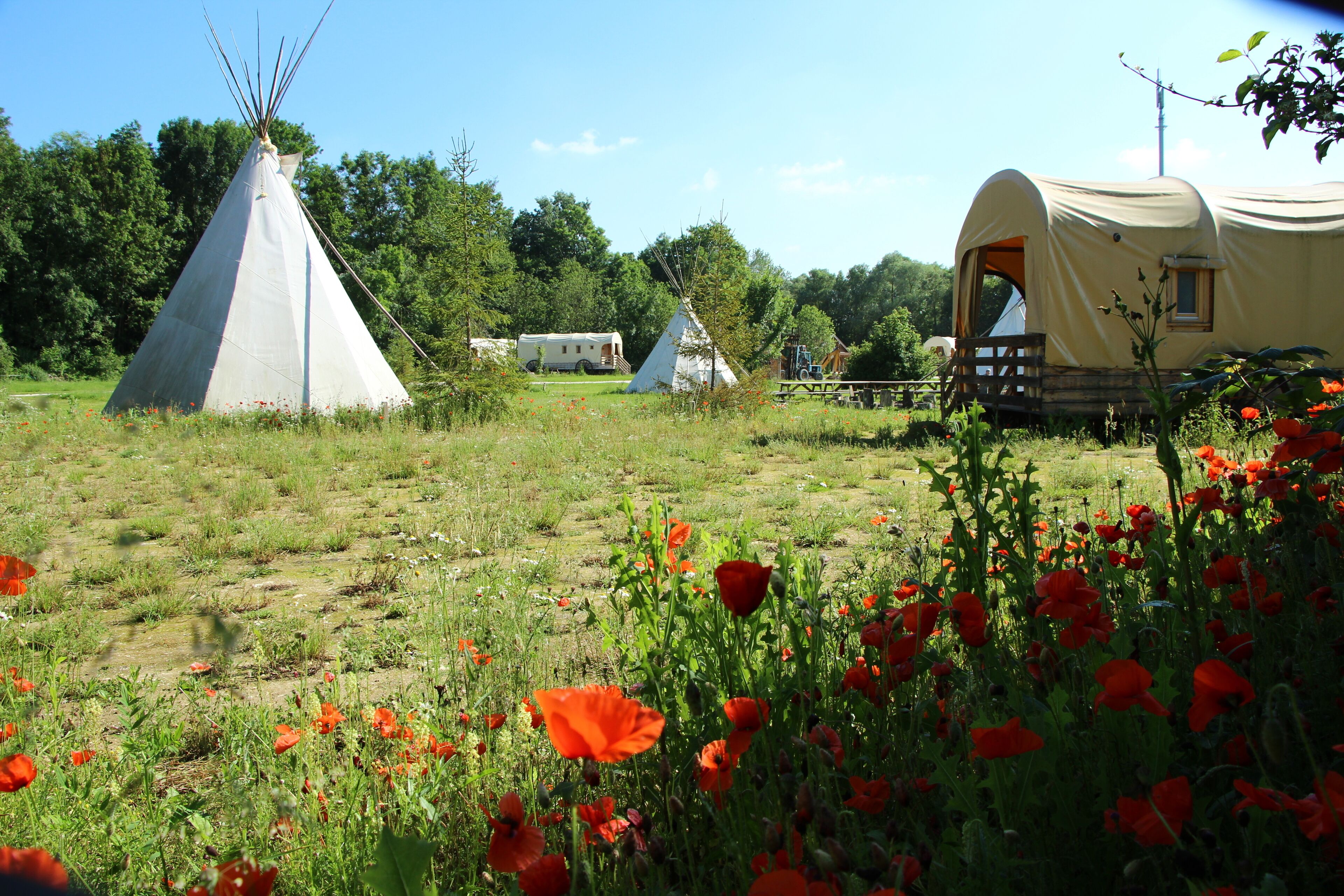 A campsite with a teepee, a covered wagon, and a small cabin.