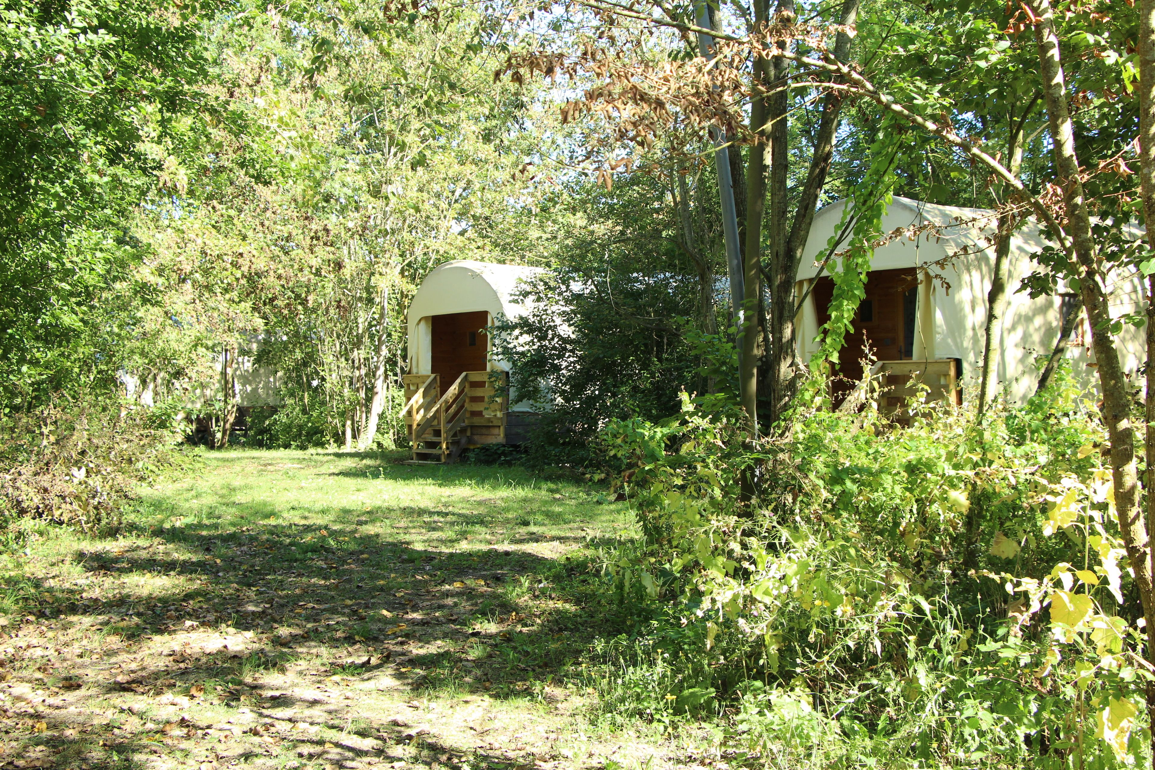 Un campamento aislado con dos cabañas de madera rodeado de vegetación densa.
