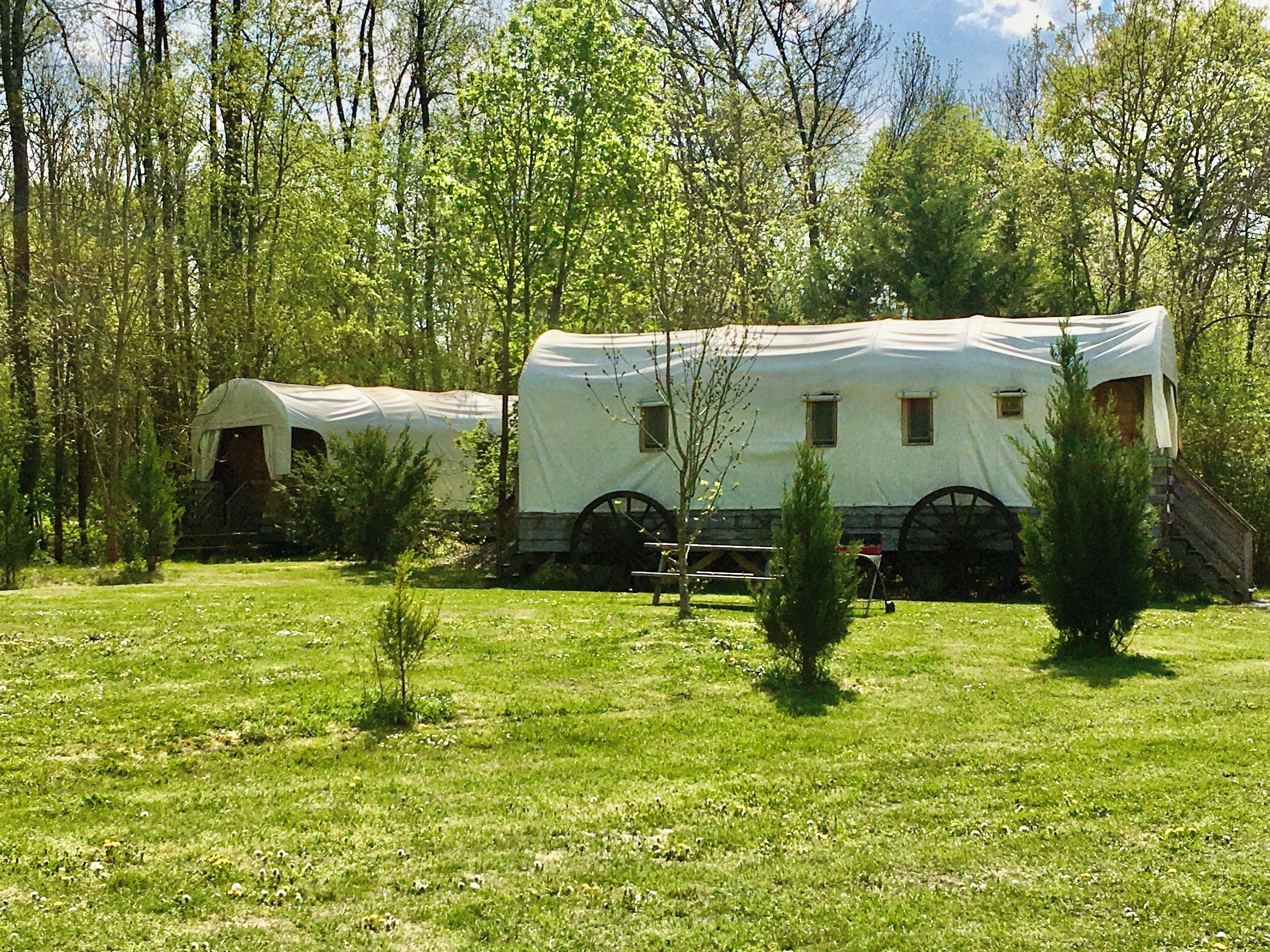 Ein beladener Wagen in einer grasbewachsenen Wiese mit Bäumen im Hintergrund.