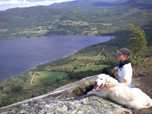 Hiking - Telemark Camping & Inn - Motel & Apartment (Fyresdal)