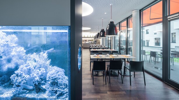 En moderne restaurant med stort akvarievindue, trægulv og udsigt over byen.