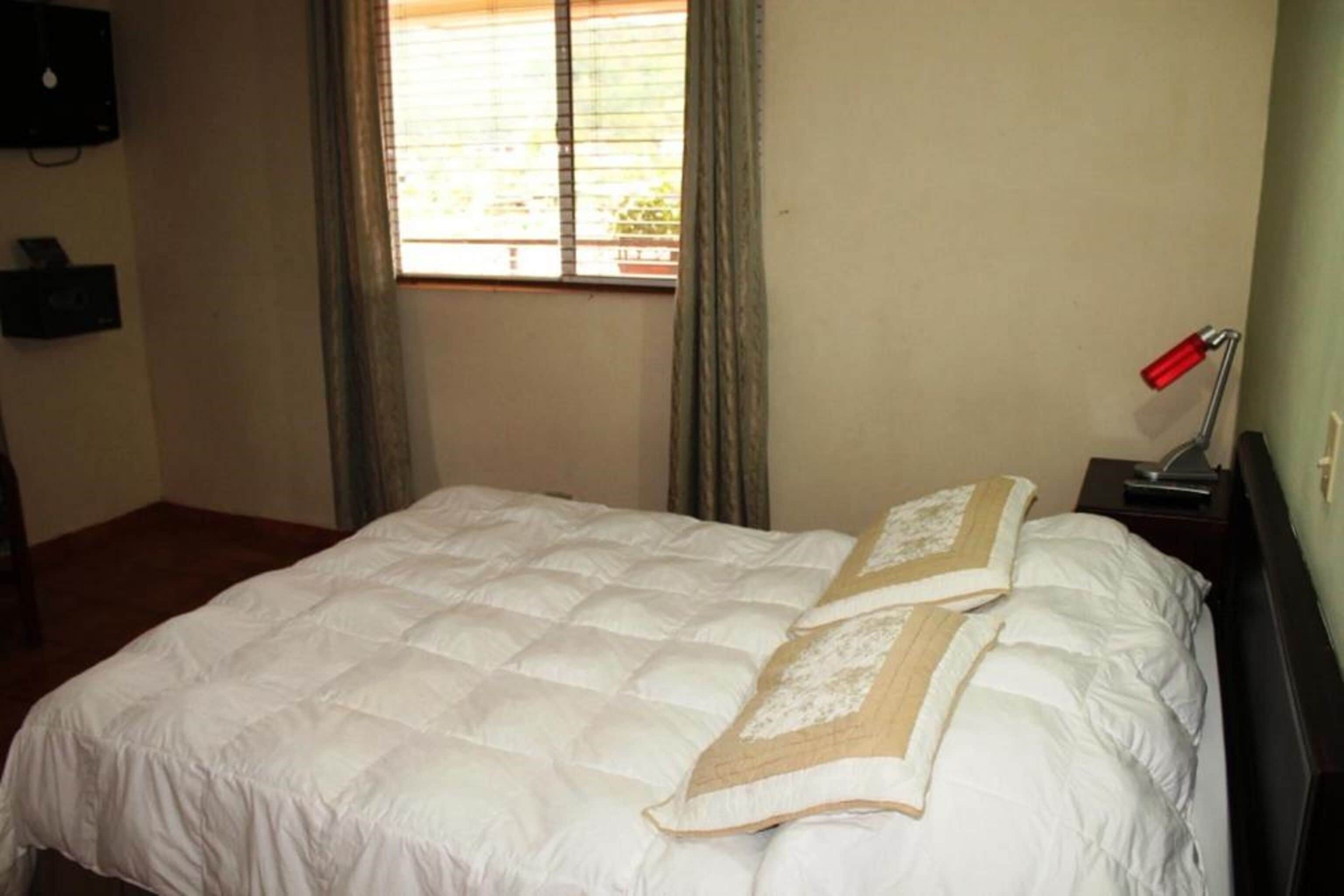 A neatly made bed with a white duvet and two decorative pillows, a bedside table with a lamp, and a window with curtains.
