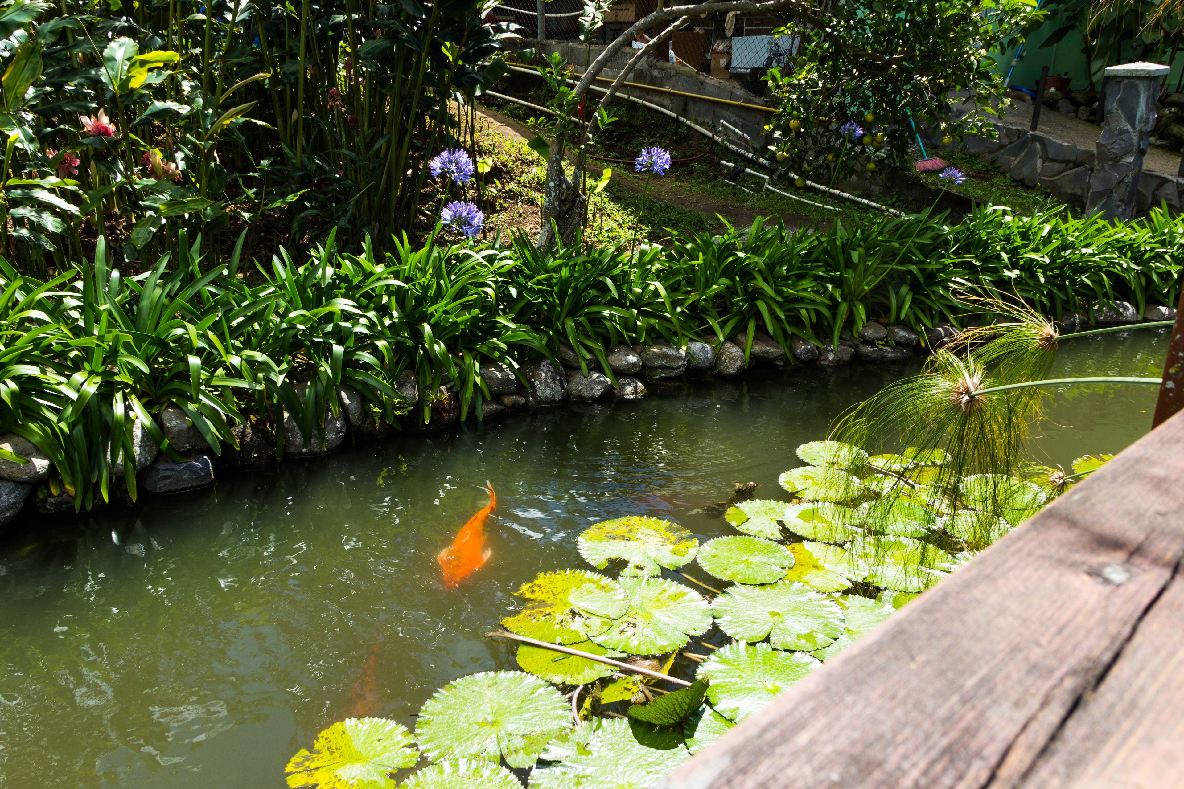 Photo - El Oasis Hotel y Restaurante