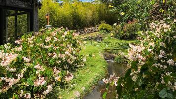 A garden with a pond, lush greenery, and flowering plants.
