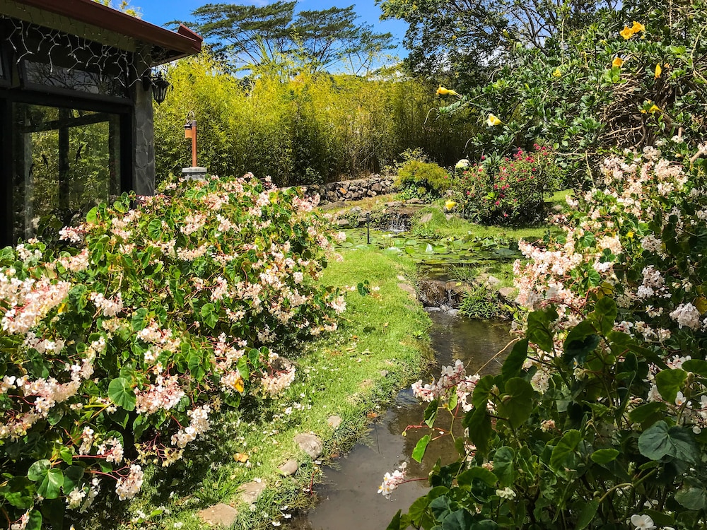 EL Oasis Hotel BOQUETE by null